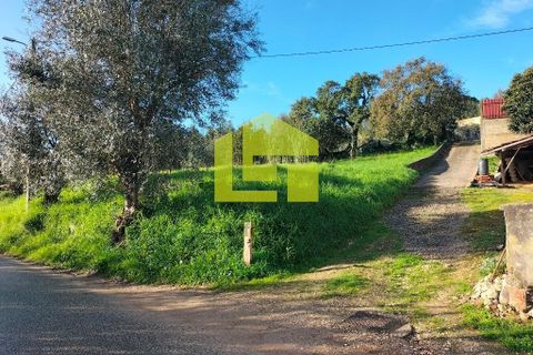 Helårsgrund i Coimbra, Coimbra, Coimbra - € 65.000 | Ref: LT1308 - foto 1