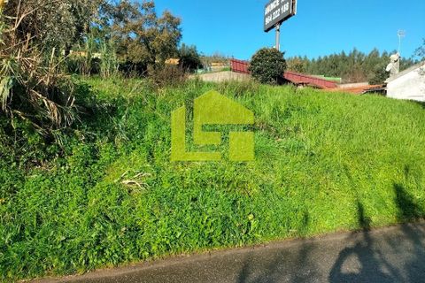 Helårsgrund i Coimbra, Coimbra, Coimbra - € 65.000 | Ref: LT1308 - foto 2