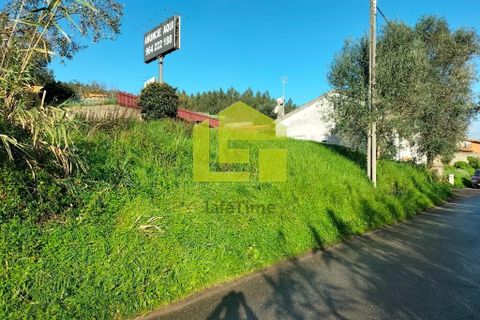 Helårsgrund i Coimbra, Coimbra, Coimbra - € 65.000 | Ref: LT1308 - foto 3