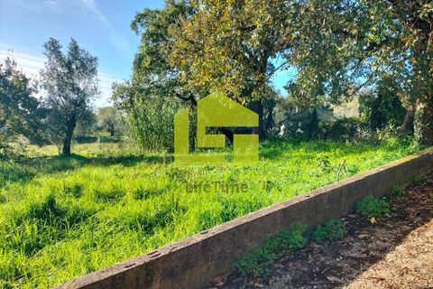 Helårsgrund i Coimbra, Coimbra, Coimbra - € 65.000 | Ref: LT1308 - foto 5