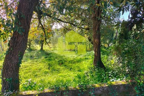 Helårsgrund i Coimbra, Coimbra, Coimbra - € 65.000 | Ref: LT1308 - foto 7