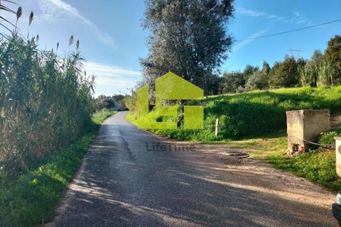 Helårsgrund i Coimbra, Coimbra, Coimbra - € 65.000 | Ref: LT1308 - foto 8