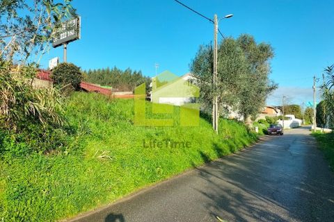 Helårsgrund i Coimbra, Coimbra, Coimbra - € 65.000 | Ref: LT1308 - foto 9