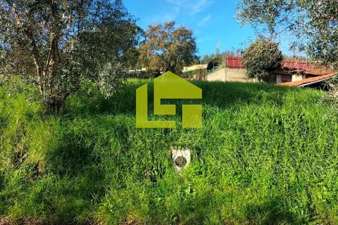 Helårsgrund i Coimbra, Coimbra, Coimbra - € 65.000 | Ref: LT1308 - foto 10