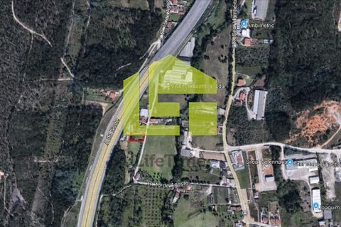 Helårsgrund i Coimbra, Coimbra, Coimbra - € 65.000 | Ref: LT1308 - foto 13