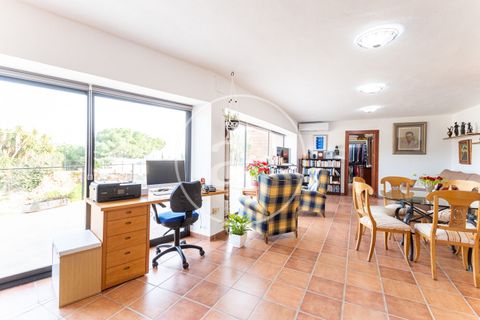 Terra a Valencia, Valencia, Valencia - € 2.000.000 | Ref: VV1812005-3 - foto 4