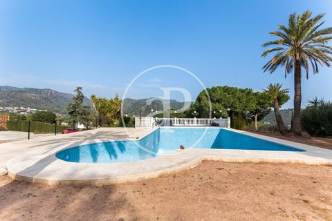 Terra a Valencia, Valencia, Valencia - € 2.000.000 | Ref: VV1812005-3 - foto 22