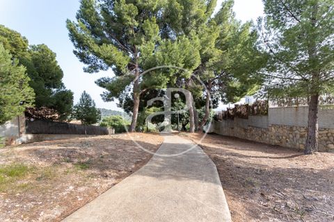 Terra a Valencia, Valencia, Valencia - € 2.000.000 | Ref: VV1812005-3 - foto 35