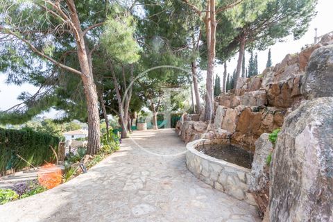 Terra a Valencia, Valencia, Valencia - € 2.000.000 | Ref: VV1812005-3 - foto 44