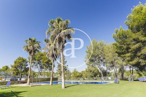 Terra a Chiva, Valencia, Chiva - € 350.000 | Ref: VV2102105 - foto 19