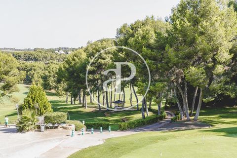 Terra a Chiva, Valencia, Chiva - € 350.000 | Ref: VV2102105 - foto 25