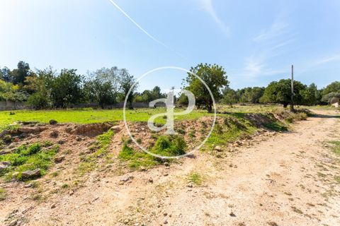 Terra a Chiva, Valencia, Chiva - € 250.000 | Ref: VV2103082 - foto 2