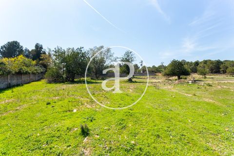 Terra a Chiva, Valencia, Chiva - € 250.000 | Ref: VV2103082 - foto 3