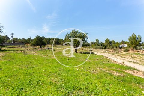Terra a Chiva, Valencia, Chiva - € 250.000 | Ref: VV2103082 - foto 4