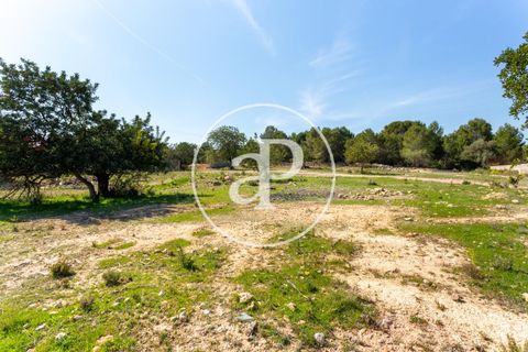 Terra a Chiva, Valencia, Chiva - € 250.000 | Ref: VV2103082 - foto 5
