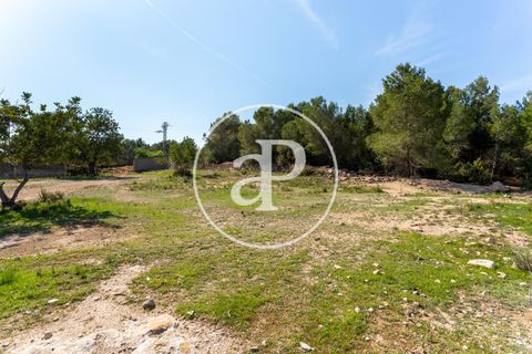 Terra a Chiva, Valencia, Chiva - € 250.000 | Ref: VV2103082 - foto 8