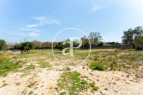 Terra a Chiva, Valencia, Chiva - € 250.000 | Ref: VV2103082 - foto 9