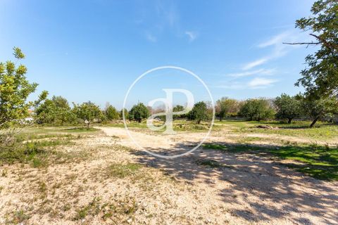 Terra a Chiva, Valencia, Chiva - € 250.000 | Ref: VV2103082 - foto 10