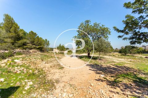 Terra a Chiva, Valencia, Chiva - € 250.000 | Ref: VV2103082 - foto 11