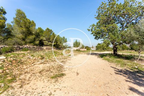 Terra a Chiva, Valencia, Chiva - € 250.000 | Ref: VV2103082 - foto 12
