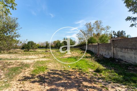 Terra a Chiva, Valencia, Chiva - € 250.000 | Ref: VV2103082 - foto 13