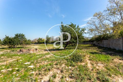 Terra a Chiva, Valencia, Chiva - € 250.000 | Ref: VV2103082 - foto 16