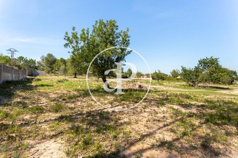 Terra a Chiva, Valencia, Chiva - € 250.000 | Ref: VV2103082 - foto 17