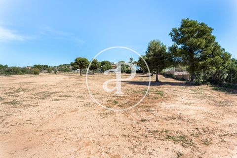 Terra a Olocau, Valencia, Olocau - € 125.000 | Ref: VV2104038 - foto 2