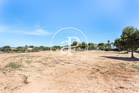 Terra a Olocau, Valencia, Olocau - € 125.000 | Ref: VV2104038 - foto 3