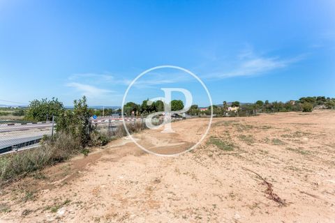Terra a Olocau, Valencia, Olocau - € 125.000 | Ref: VV2104038 - foto 4