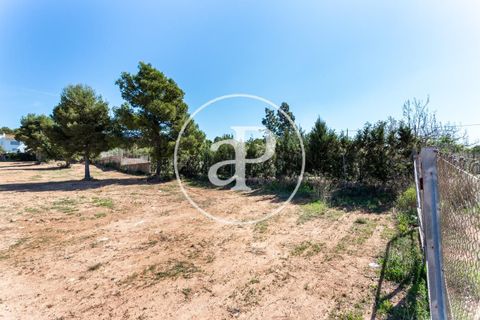 Terra a Olocau, Valencia, Olocau - € 125.000 | Ref: VV2104038 - foto 5