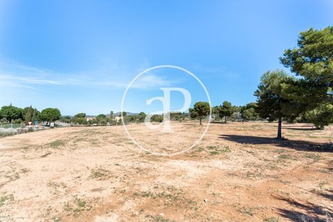 Terra a Olocau, Valencia, Olocau - € 125.000 | Ref: VV2104038 - foto 6