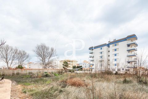Helårsgrund i Piles, Valencia, Piles - € 495.495 | Ref: VV2201030 - foto 3