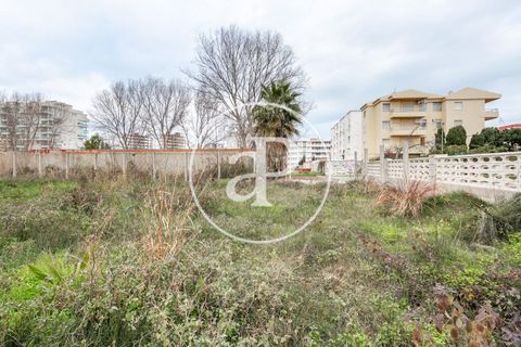 Helårsgrund i Piles, Valencia, Piles - € 495.495 | Ref: VV2201030 - foto 21
