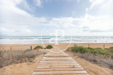 Terra a Oliva, Valencia, Oliva - € 480.000 | Ref: VV2210030 - foto 2
