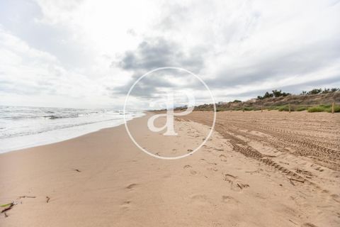 Terra a Oliva, Valencia, Oliva - € 480.000 | Ref: VV2210030 - foto 3