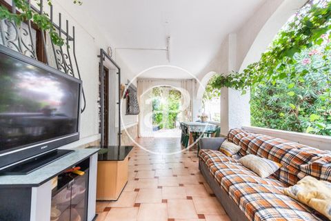 Terra a Oliva, Valencia, Oliva - € 480.000 | Ref: VV2210030 - foto 7