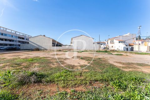 Tomt i Riba-Roja De Turia, Valencia, Riba-Roja De Turia - € 260 000 | Ref: VV2212036 - foto 2