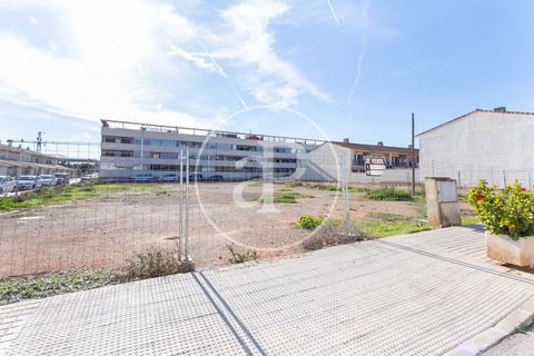 Tomt i Riba-Roja De Turia, Valencia, Riba-Roja De Turia - € 260 000 | Ref: VV2212036 - foto 22