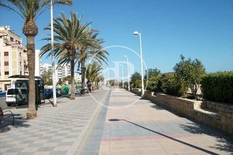 Tomt i Sagunto, Valencia, Sagunto - € 85 000 | Ref: VV2302014 - foto 10