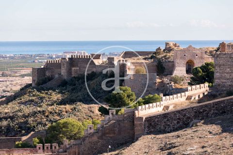 Tomt i Sagunto, Valencia, Sagunto - € 85 000 | Ref: VV2302014 - foto 12