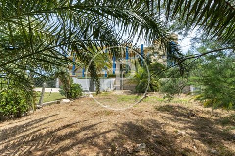 Terra a Denia, Alicante, Denia - € 400.000 | Ref: VV2306028 - foto 6