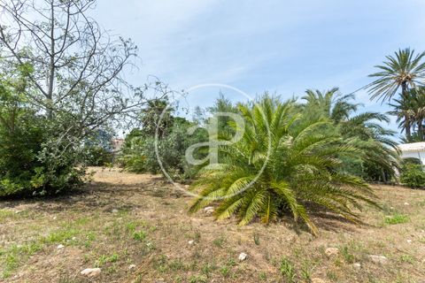 Terra a Denia, Alicante, Denia - € 400.000 | Ref: VV2306028 - foto 12