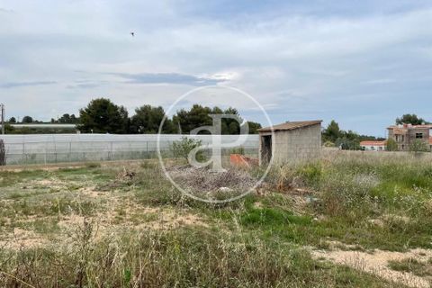 Terra a Turis, Valencia, Turis - € 95.000 | Ref: VV2306010 - foto 2