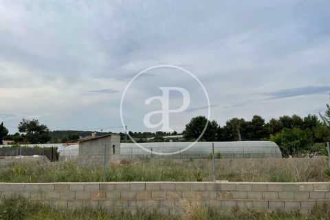 Terra a Turis, Valencia, Turis - € 95.000 | Ref: VV2306010 - foto 3
