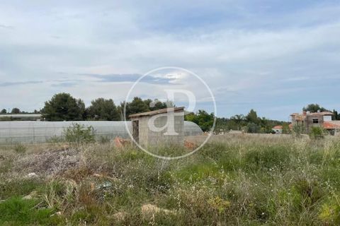 Terra a Turis, Valencia, Turis - € 95.000 | Ref: VV2306010 - foto 4