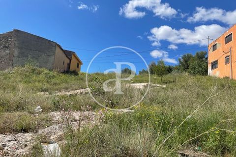 Terra a Turis, Valencia, Turis - € 140.000 | Ref: VV2306026 - foto 2