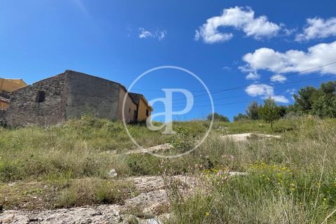 Terra a Turis, Valencia, Turis - € 140.000 | Ref: VV2306026 - foto 3