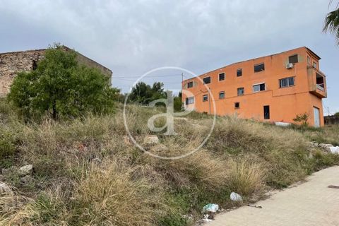 Terra a Turis, Valencia, Turis - € 140.000 | Ref: VV2306026 - foto 7