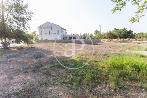 Terreno en Massamagrell, Valencia, Massamagrell - € 750.000 | Ref: VV2307040 - photo 2